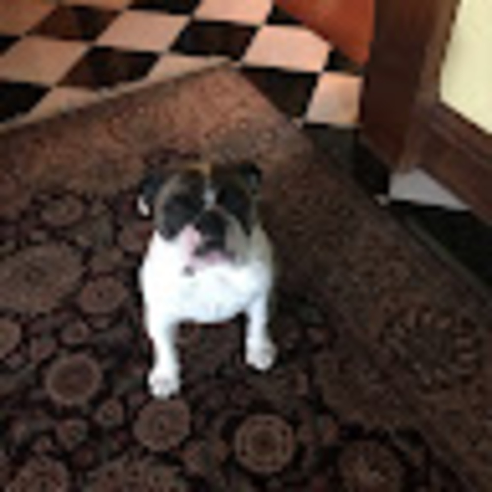 Meet your Posher, Blake